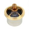 DT 6.30309 Thermostat, coolant